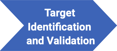 targert identification