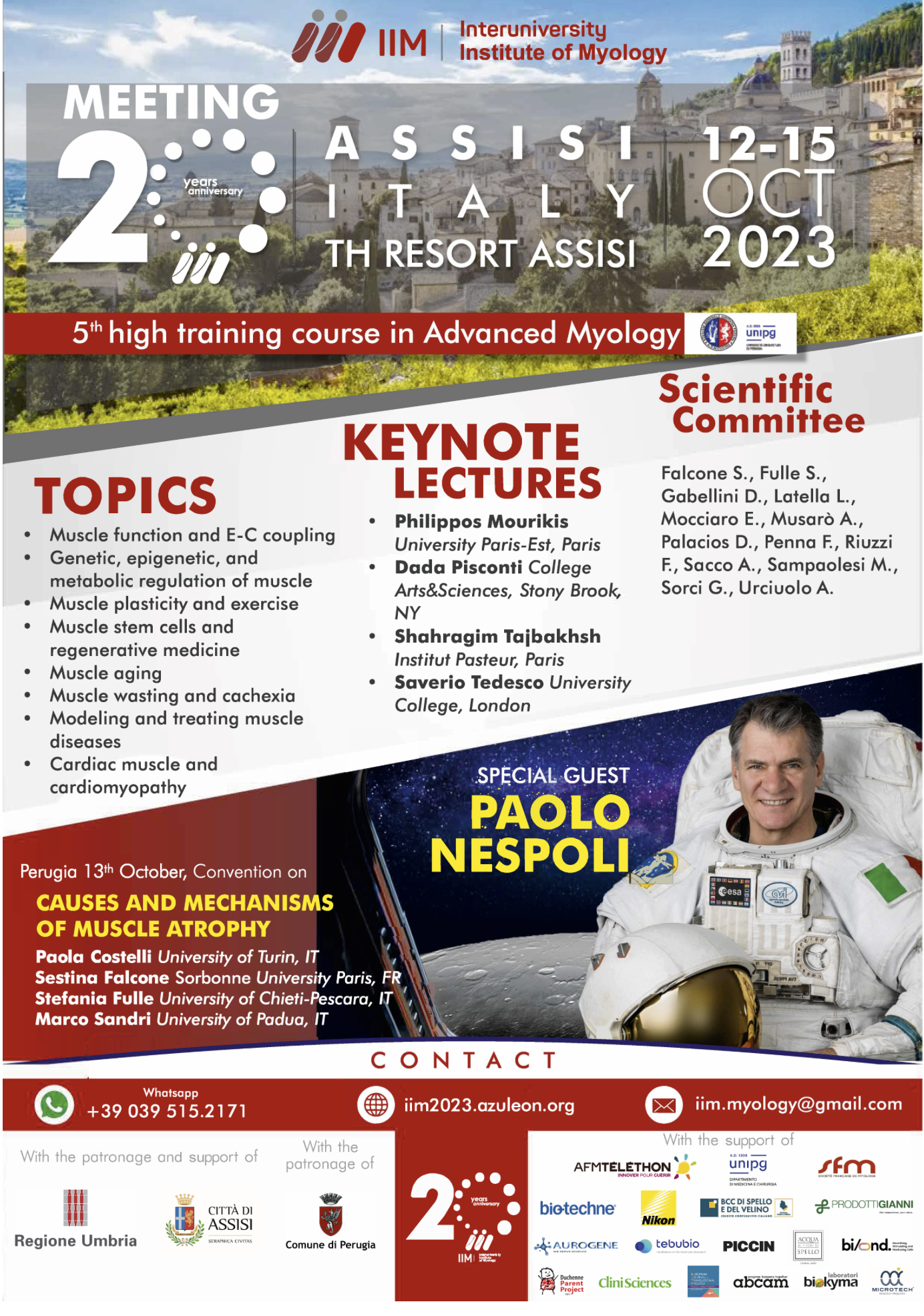 CAUSES AND MECHANISMS OF MUSCLE ATROPHY