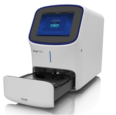 Ibright CL1500 System