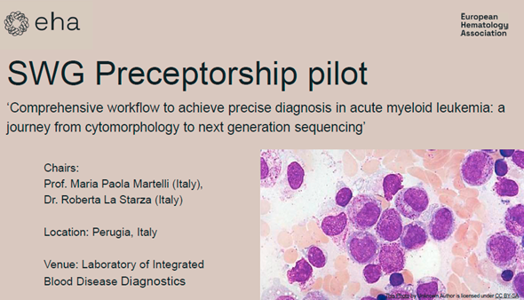La ricerca del Dipartimento di Medicina e Chirurgia dell’Università di Perugia sull’Iperossaluria Primaria premiata dalla Oxalosis & Hyperoxaluria Foundation