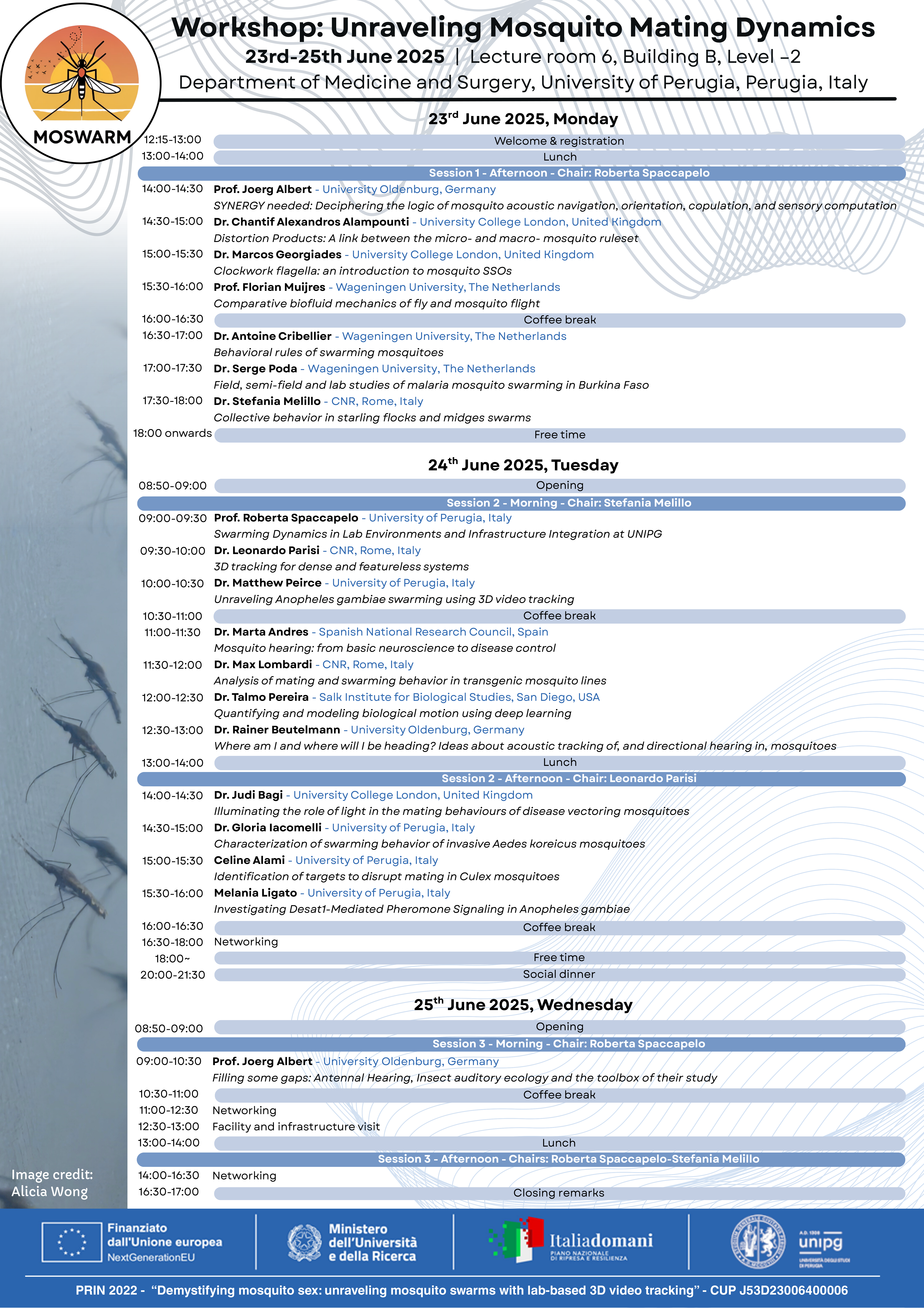 Workshop: Unraveling Mosquito Mating Dynamics