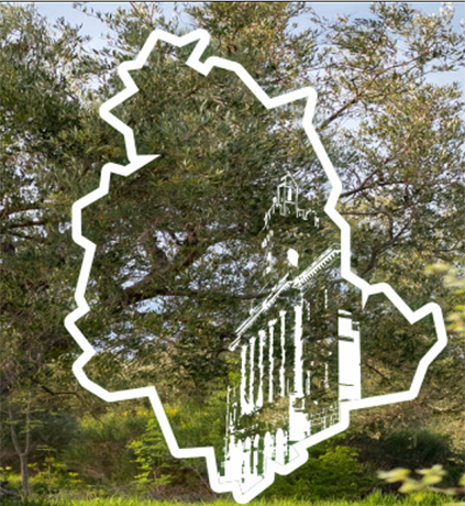 25o Congresso della International Society of Ethnopharmacology