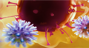 INFIAMMAZIONE E RISPOSTE DEL SISTEMA IMMUNITARIO