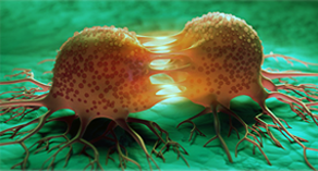 CANCEROGENESI E NEOPLASIE