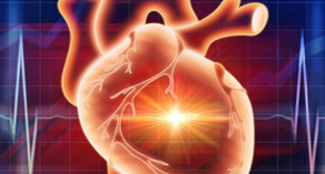 MALATTIE CARDIOVASCOLARI