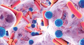 INTERAZIONE OSPITE/MICROBIOMA