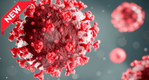 LA GESTIONE DELLA PANDEMIA E DELLE SUE CONSEGUENZE