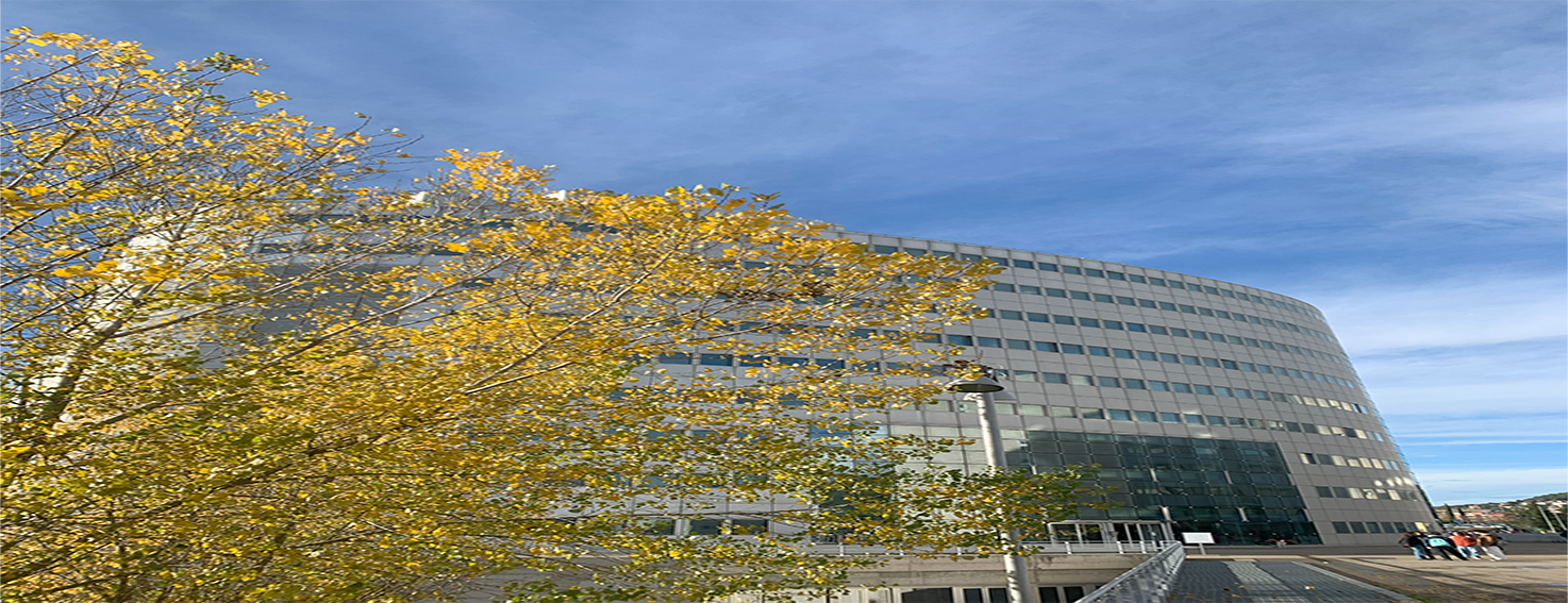 Dipartimento di Medicina e Chirurgia