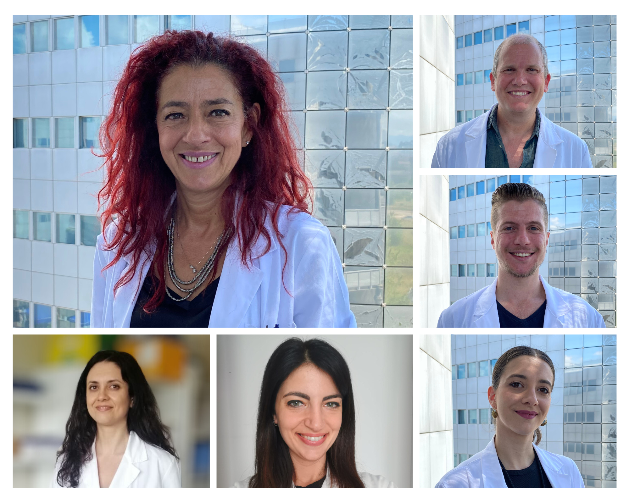 Dipartimento di Medicina e Chirurgia